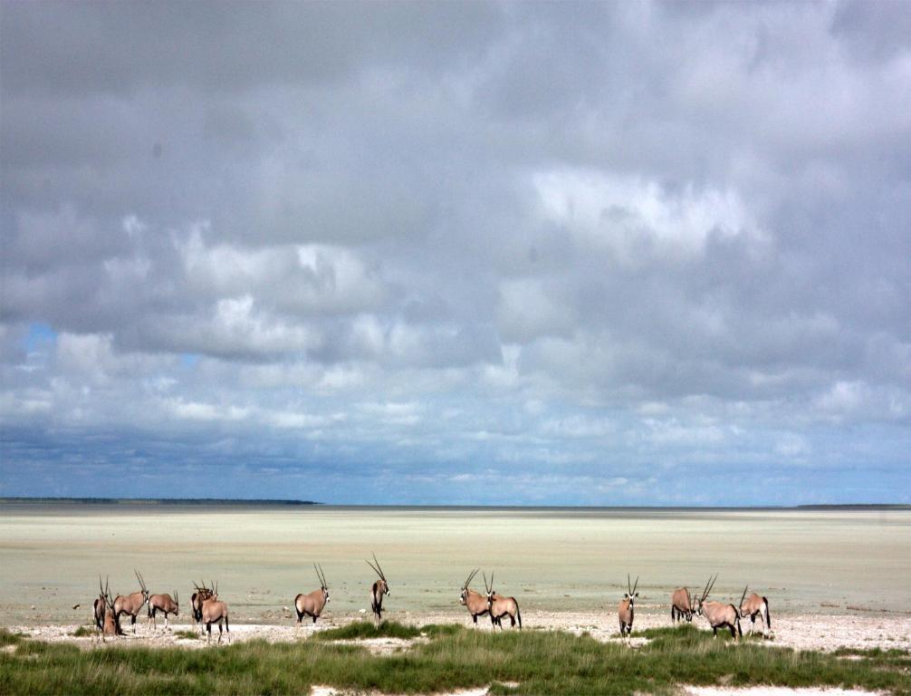 Mokuti Etosha Villa Namutoni Exterior foto