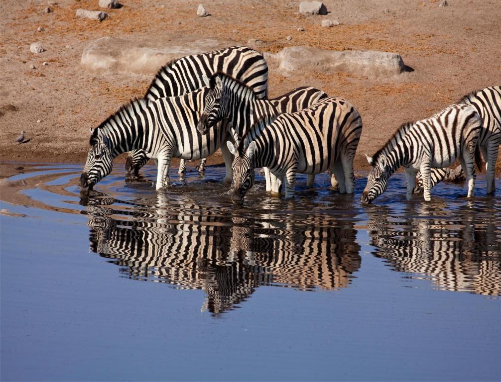 Mokuti Etosha Villa Namutoni Exterior foto